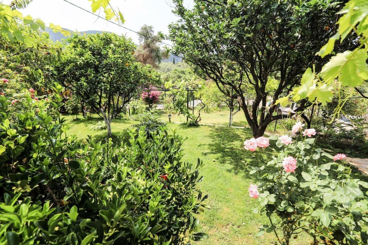בית הארחה Kastellanoi  	Garden House Kastellani מראה חיצוני תמונה